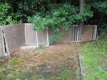Before画像