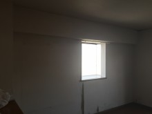 Before画像