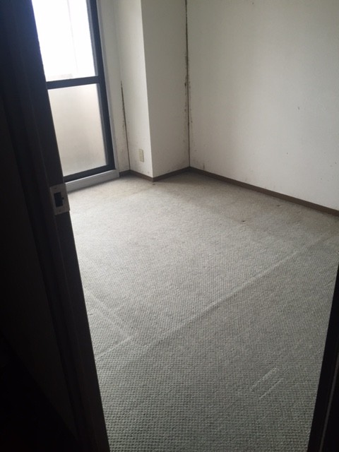 Before画像