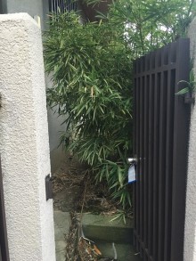 Before画像