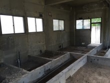 Before画像