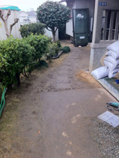 Before画像
