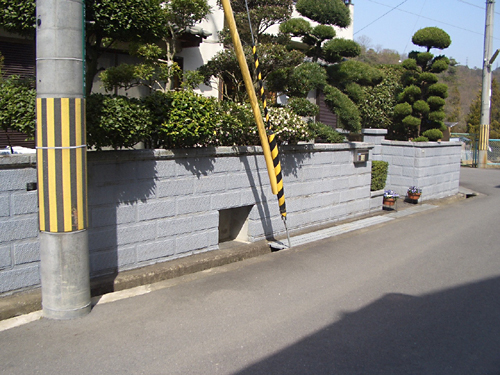 Before画像
