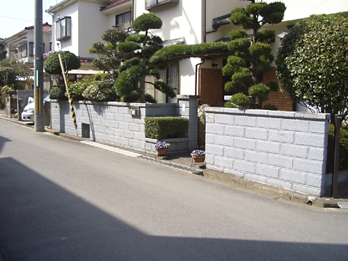 Before画像