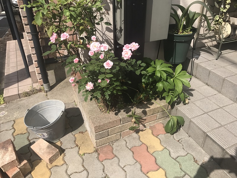 Before画像