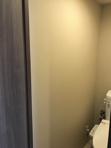 Before画像
