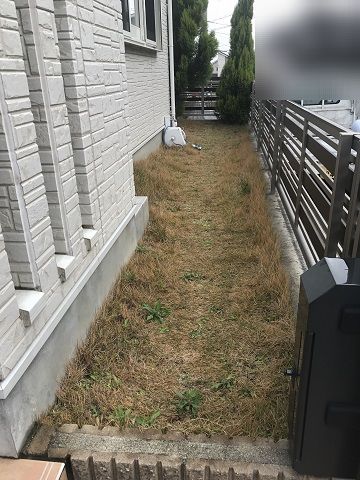 Before画像