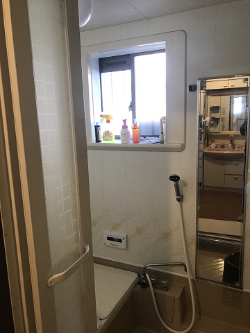 Before画像