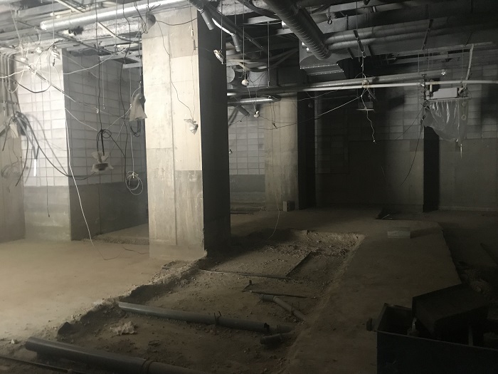 Before画像