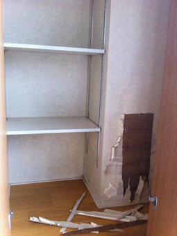 Before画像