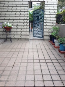Before画像