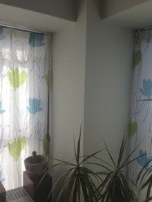 Before画像