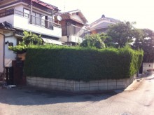 Before画像