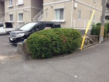 Before画像