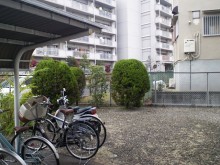 Before画像