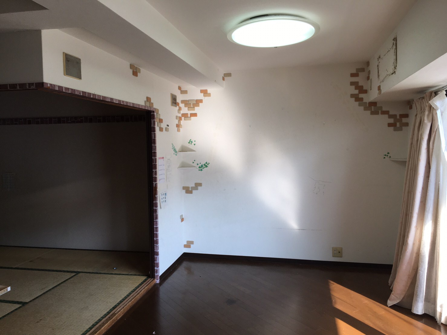 Before画像