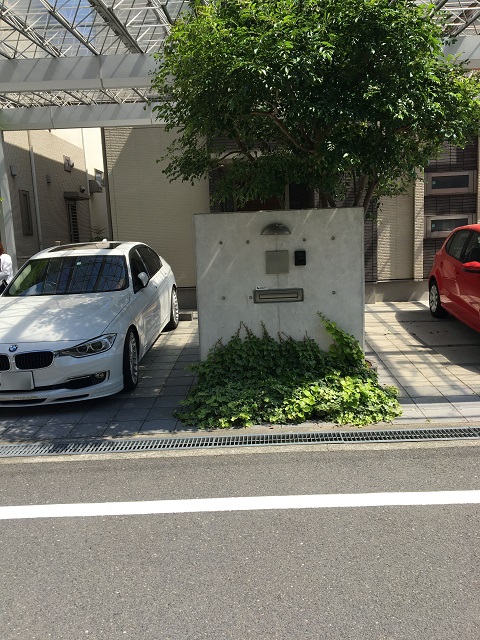 Before画像