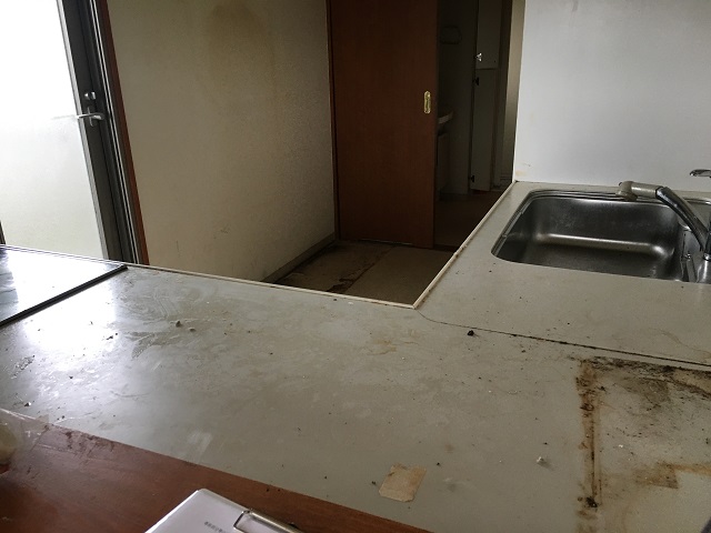 Before画像