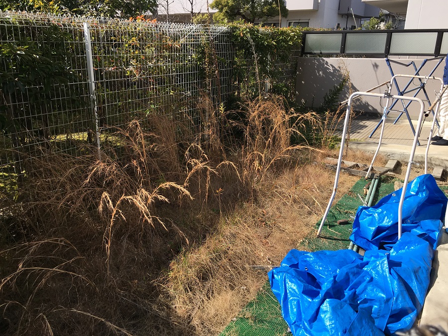 Before画像