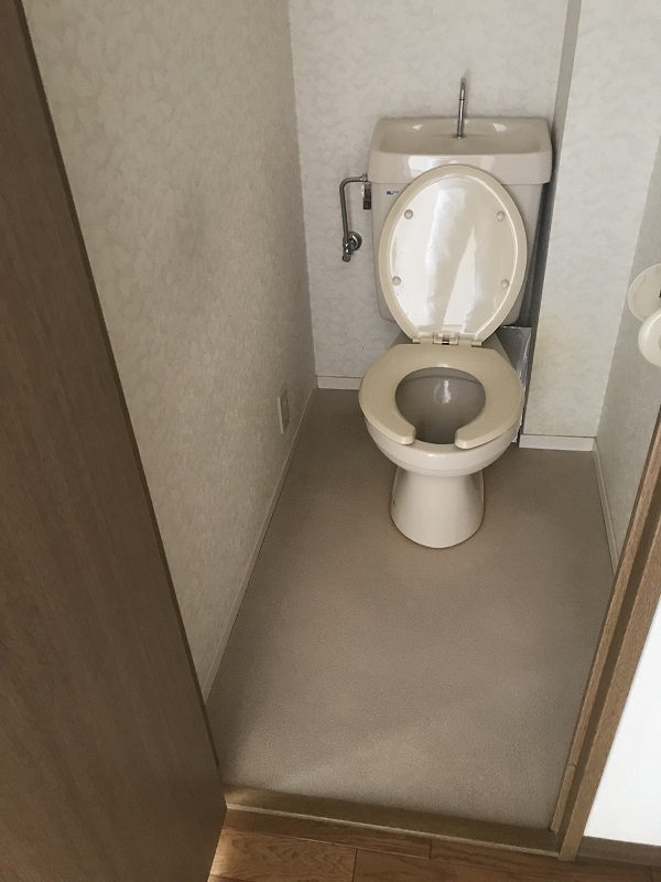 Before画像