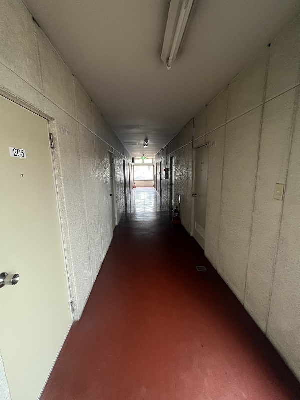 Before画像