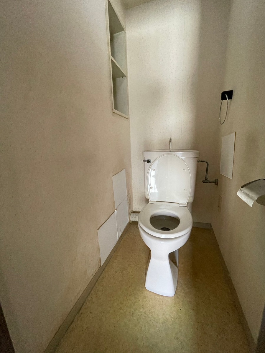 Before画像
