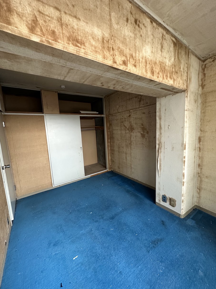 Before画像