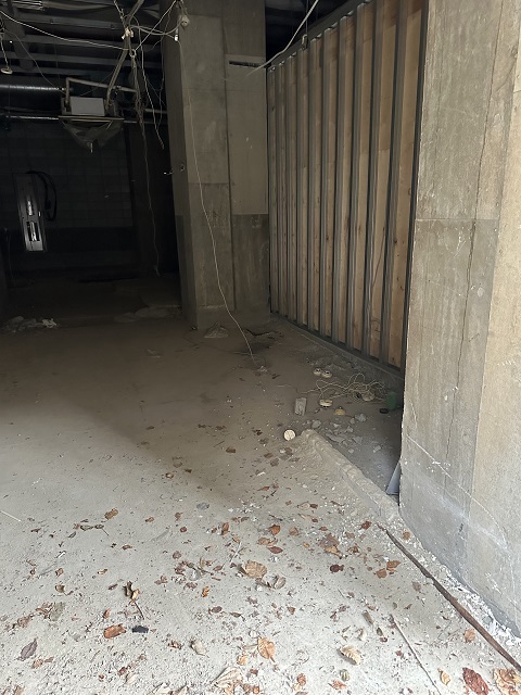 Before画像