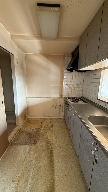 Before画像