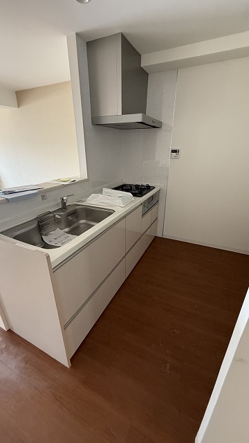 Before画像