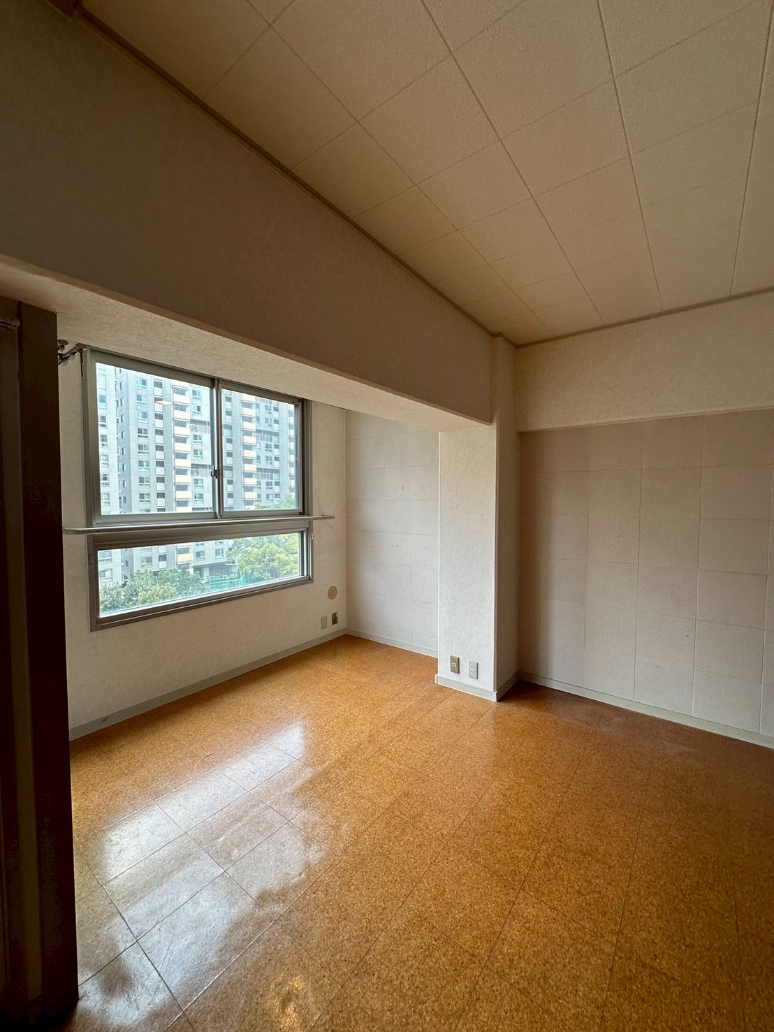Before画像