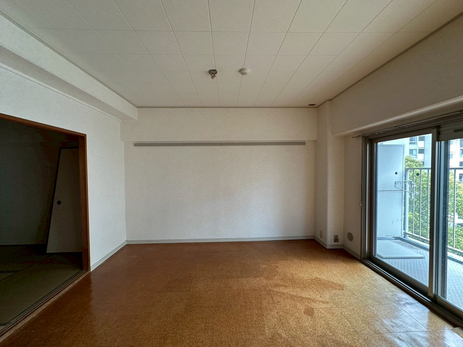 Before画像