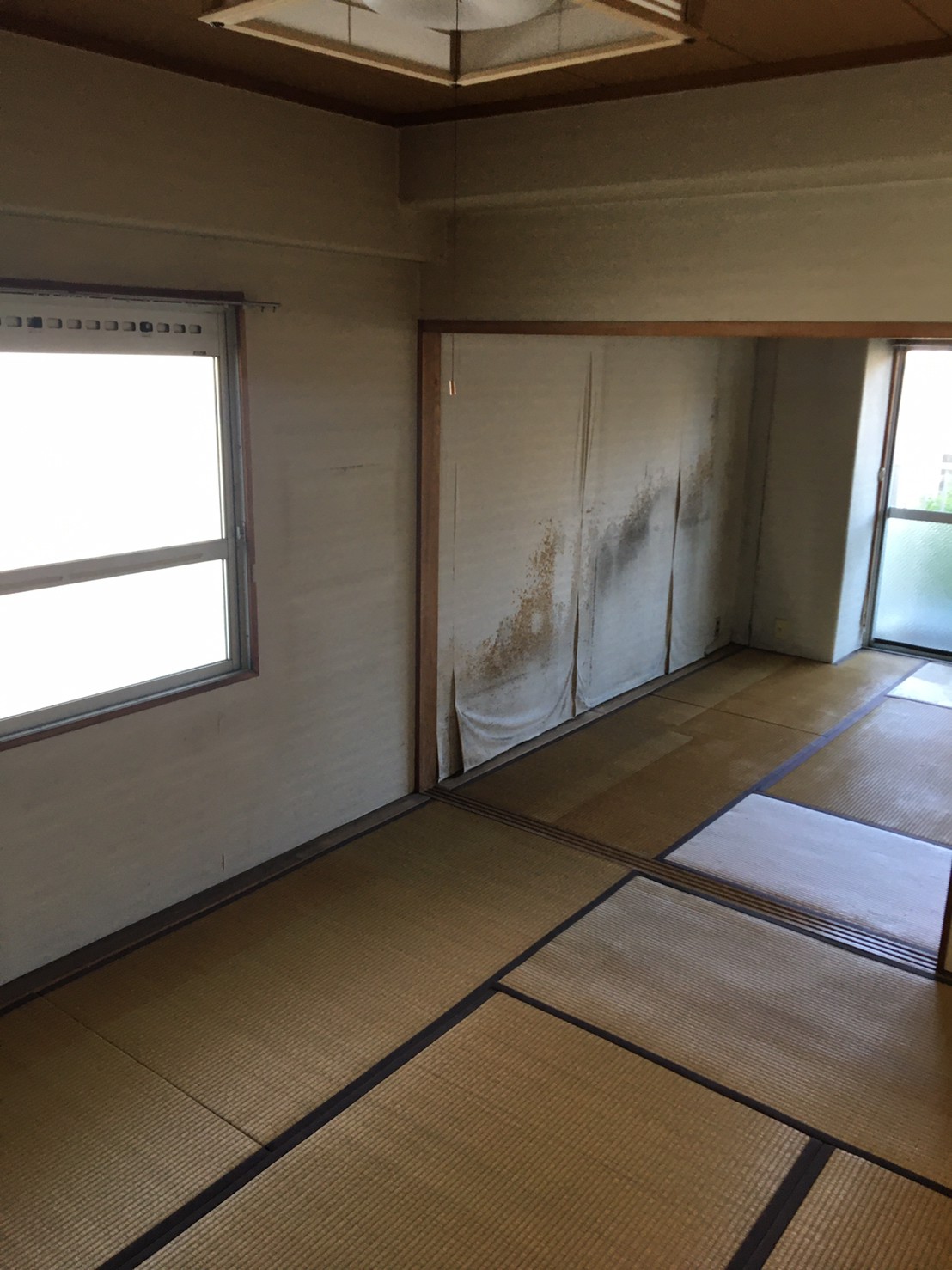 Before画像