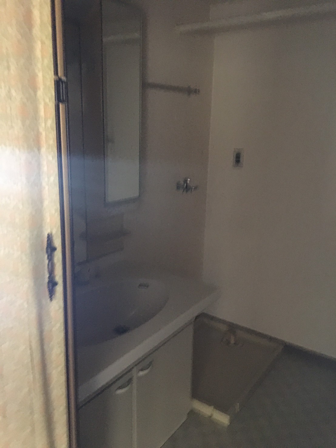 Before画像