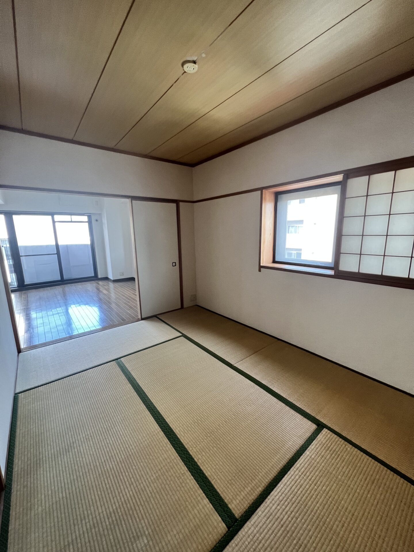 Before画像
