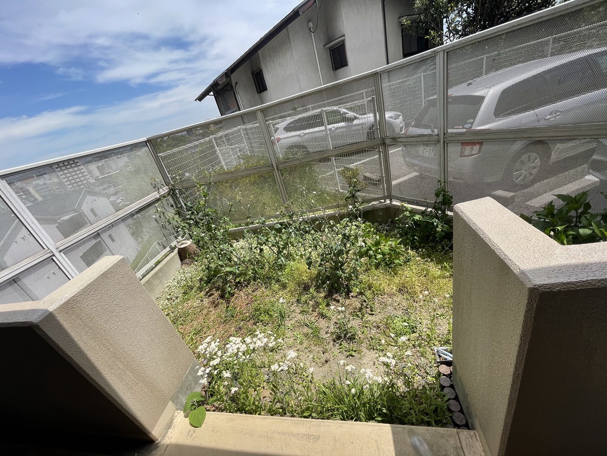 Before画像