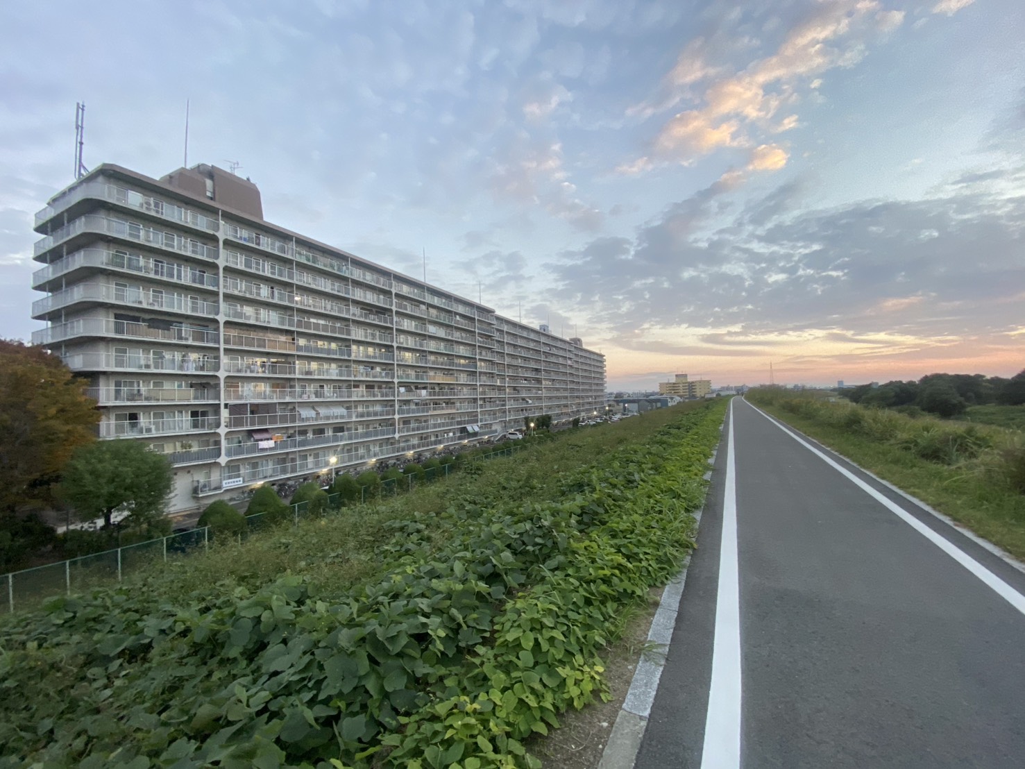 【リノベ物件に月々8万円台で住める!!3LDK】枚方淀川公演スカイハイツ アイキャッチ 【リノベ物件に月々8万円台で住める!!3LDK】枚方淀川公演スカイハイツ アイキャッチ