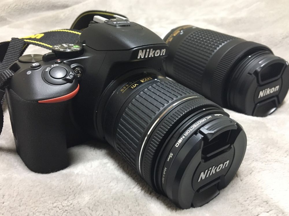 かわいい記録 アイキャッチ かわいい記録 アイキャッチ