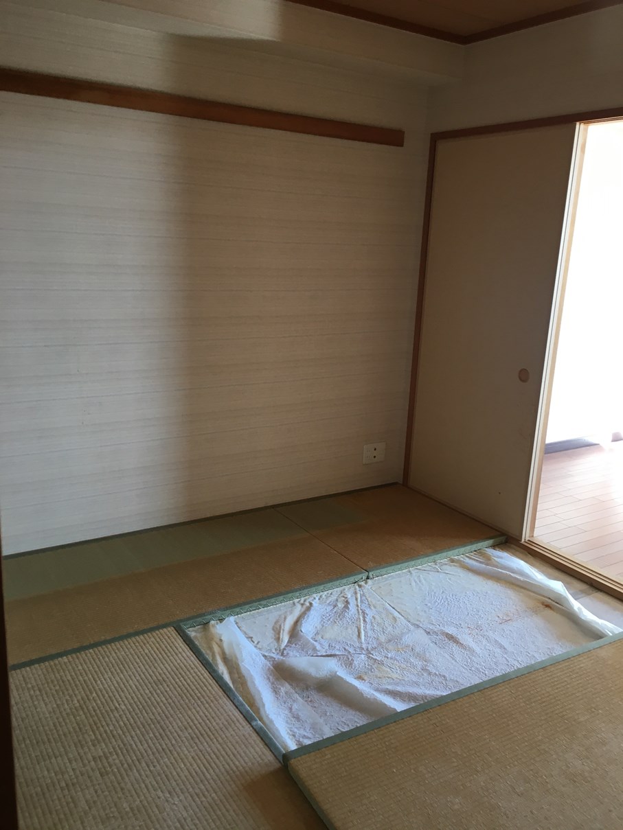 Before画像