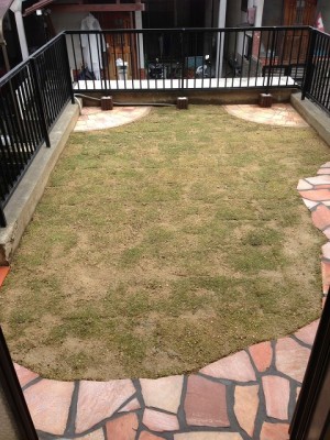 手入れが大変なお庭をすっきりと!手入れが大変なお庭をすっきりと! アイキャッチ 手入れが大変なお庭をすっきりと!手入れが大変なお庭をすっきりと! アイキャッチ