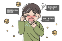 花粉症 🤧 アイキャッチ