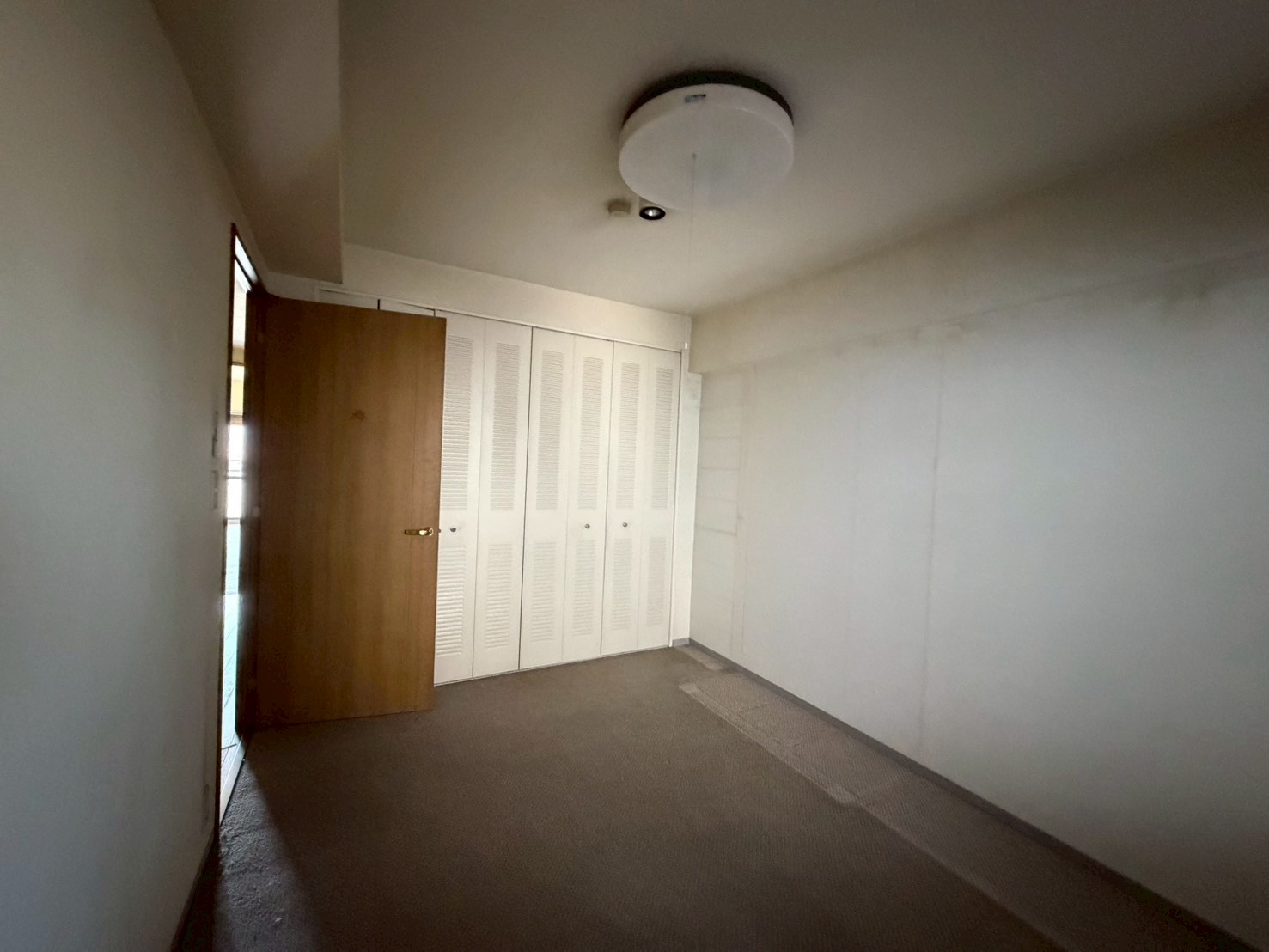 Before画像