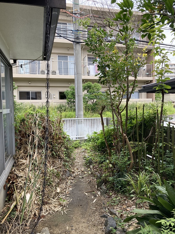 Before画像