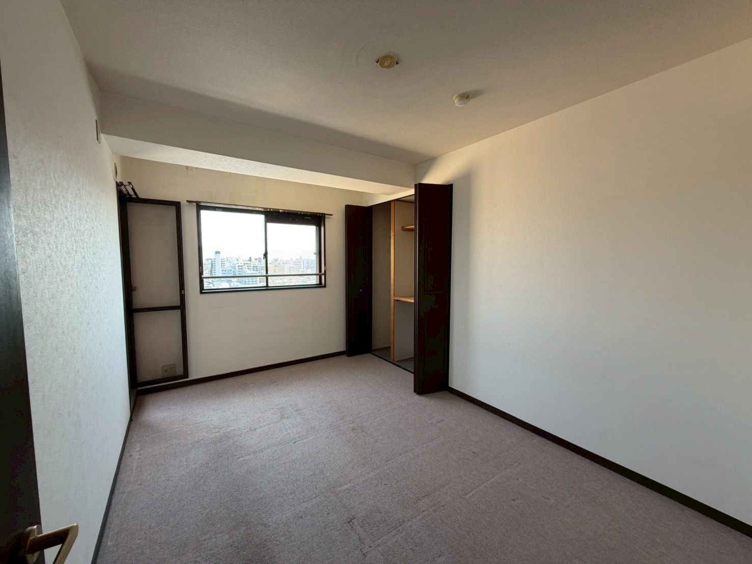 Before画像