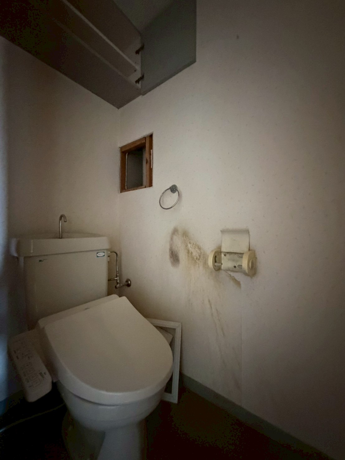 Before画像