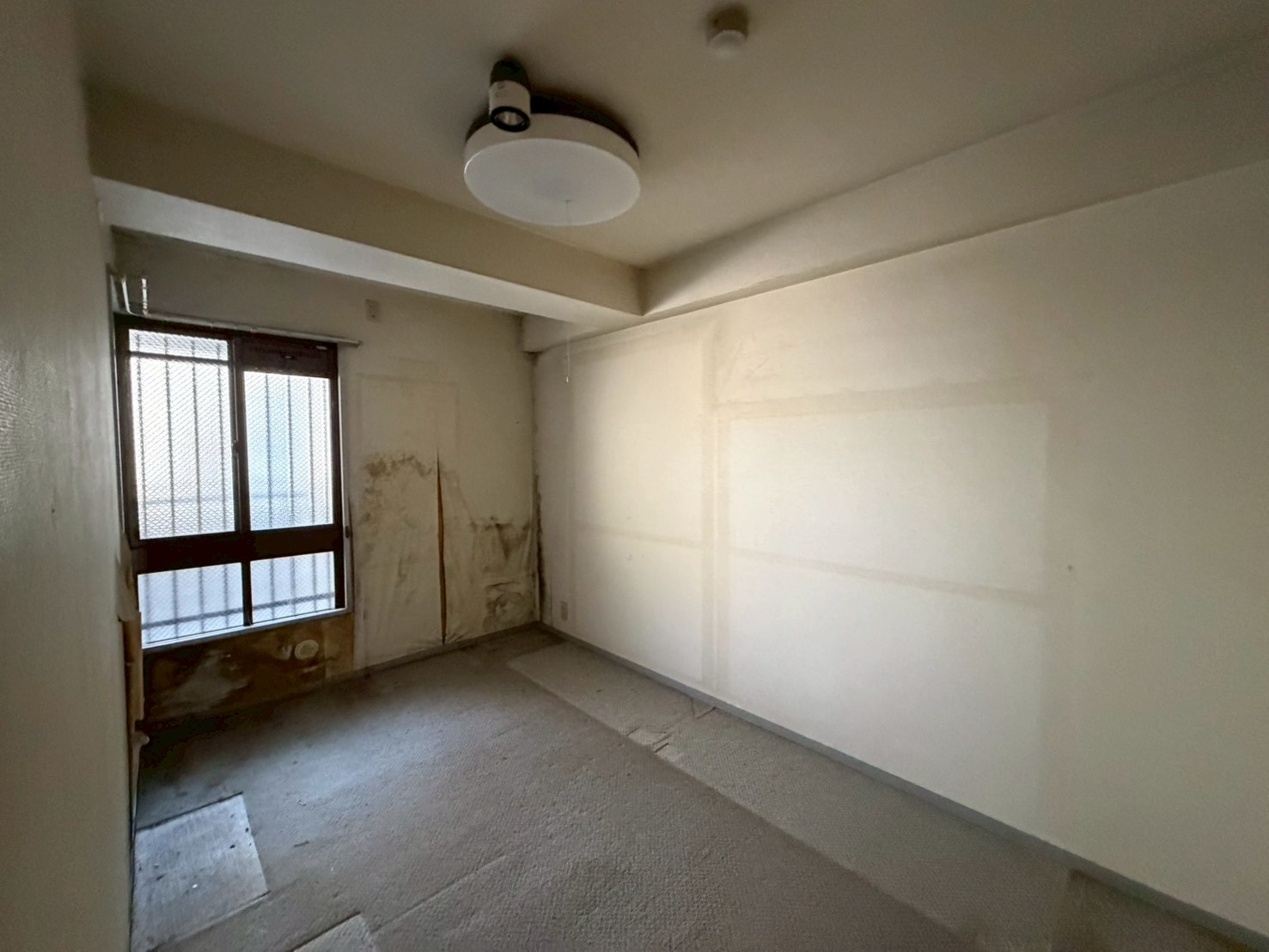 Before画像