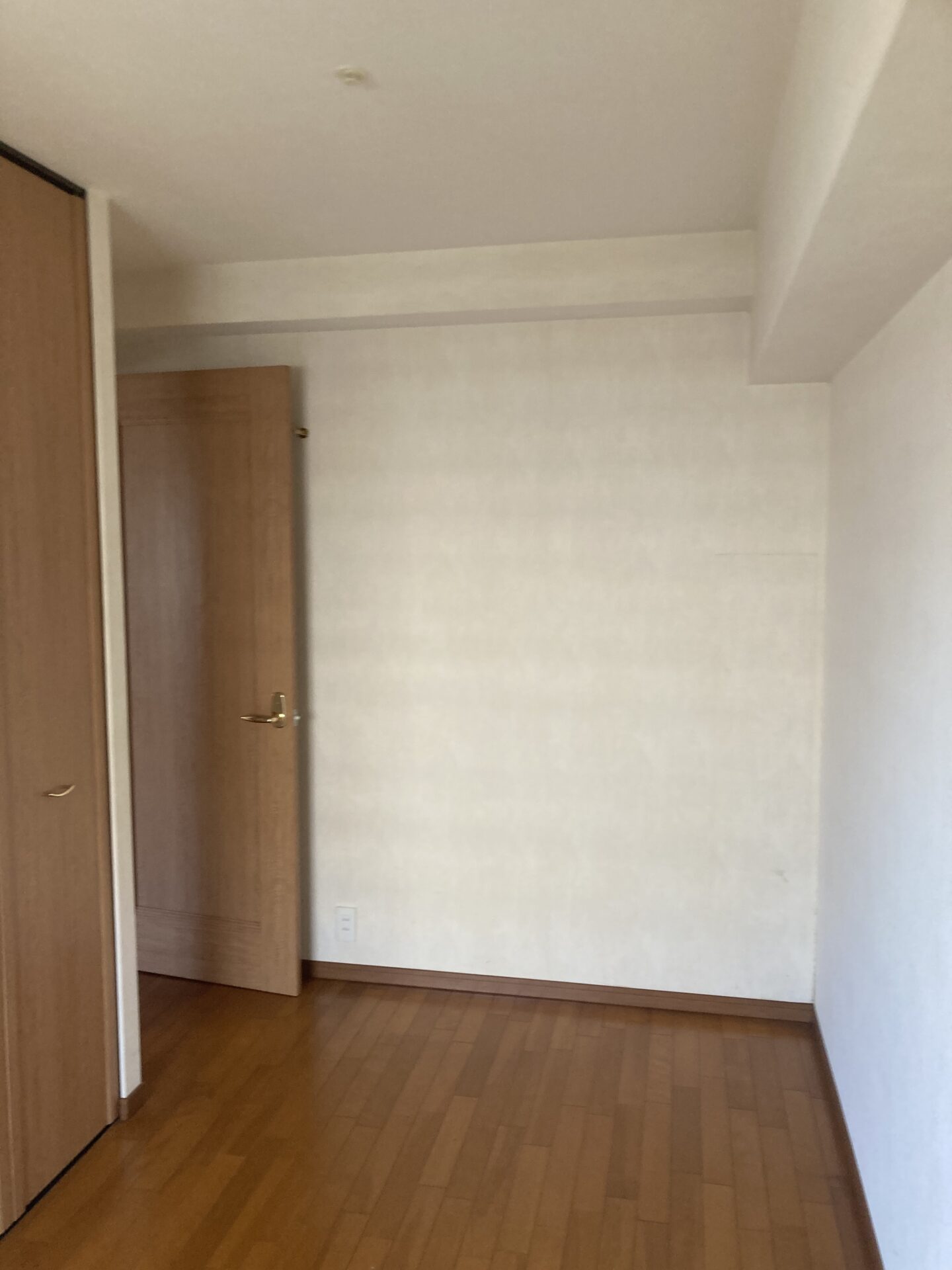 Before画像
