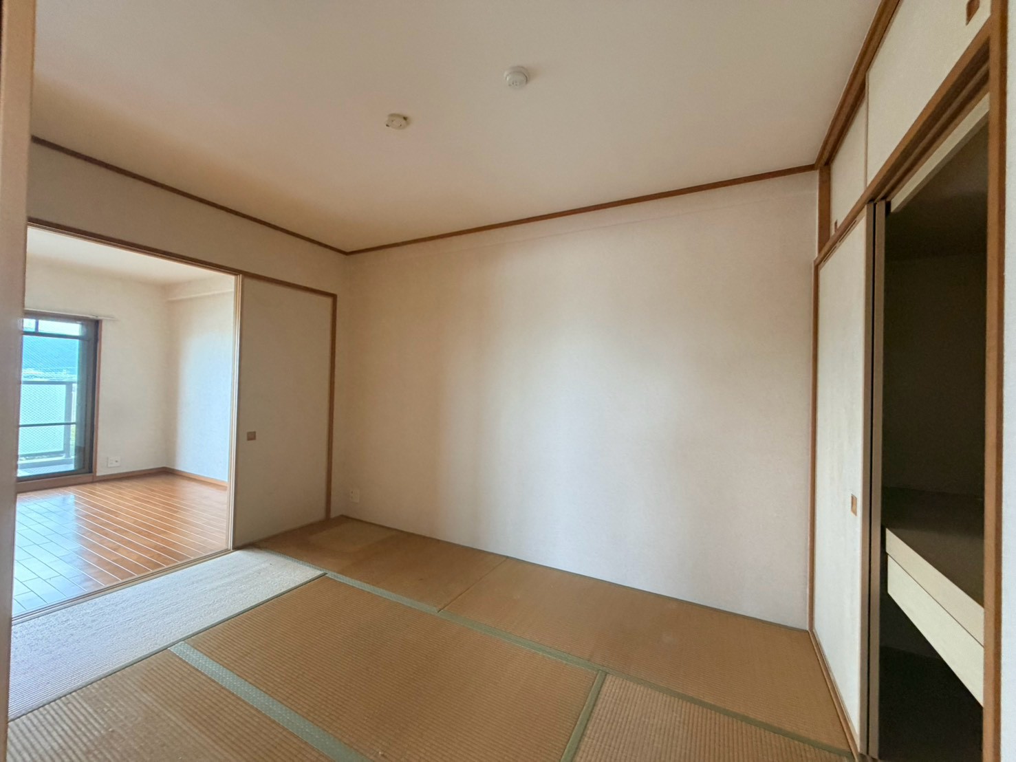 Before画像