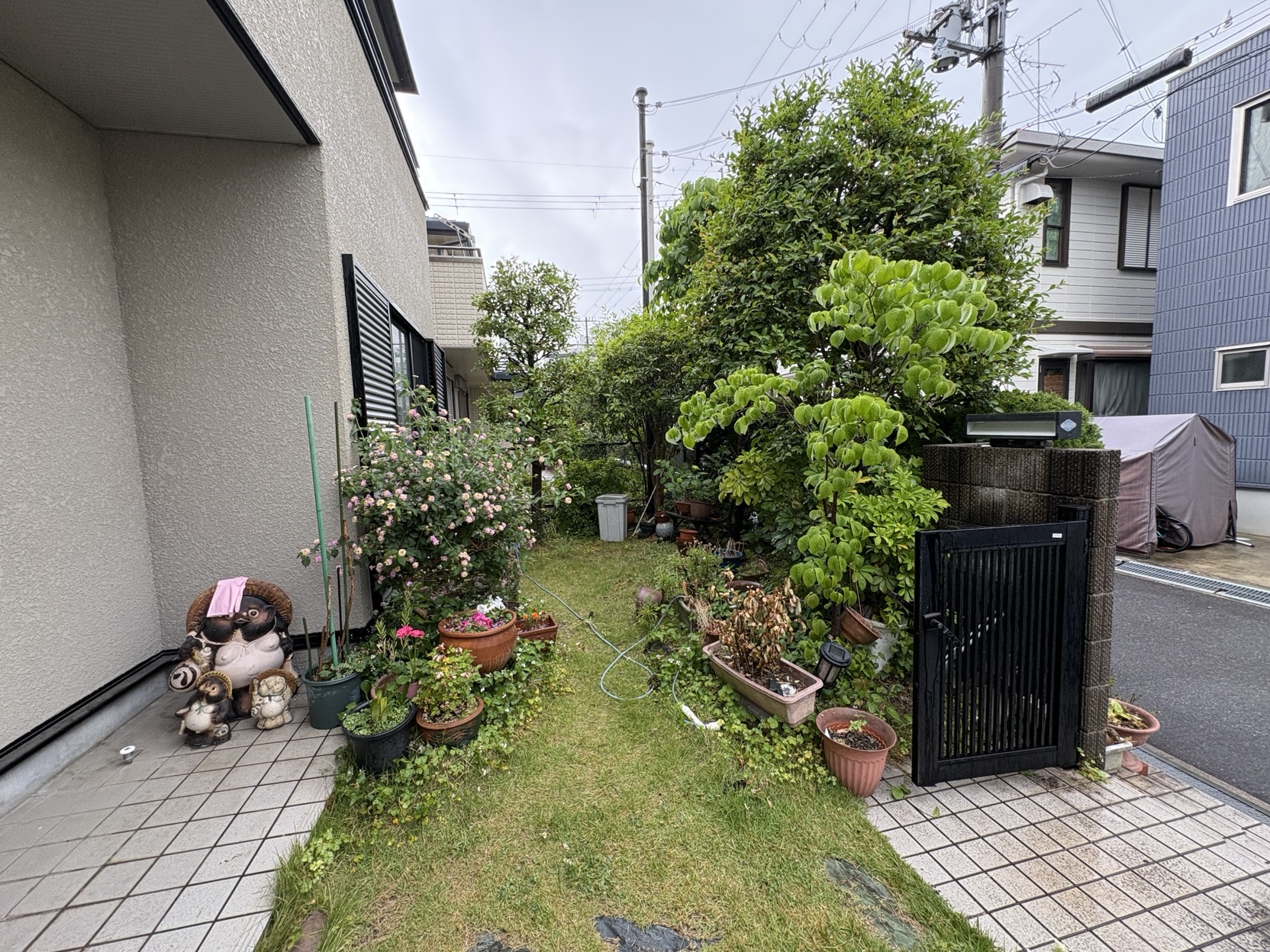 Before画像